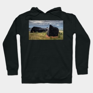 Lindisfarne's Boat Sheds Hoodie